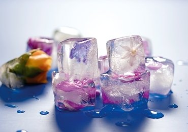 Как да оживите ледените кубчета