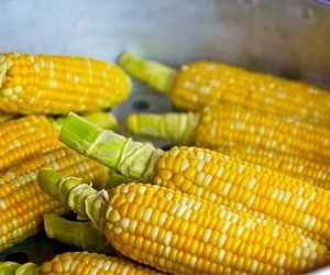 Суровата царевица – новият хит в диетичното хранене