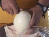Омлет от щраусово яйце по родопски